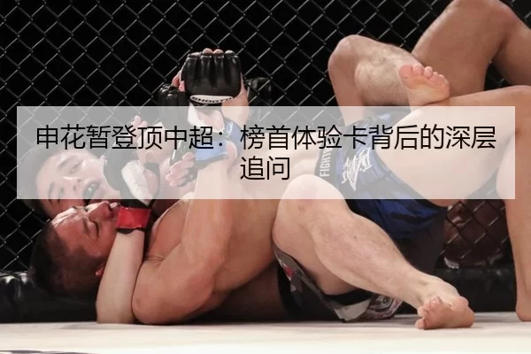 申花暂登顶中超：榜首体验卡背后的深层追问